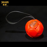 Julius K9 Show training ball, Football with ribbon - Orange