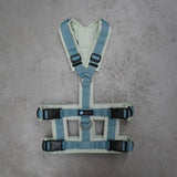Anny-X Safety Dog Harness - Sage/Dove Blue