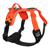 Non-stop Ramble Dog Harness - Orange